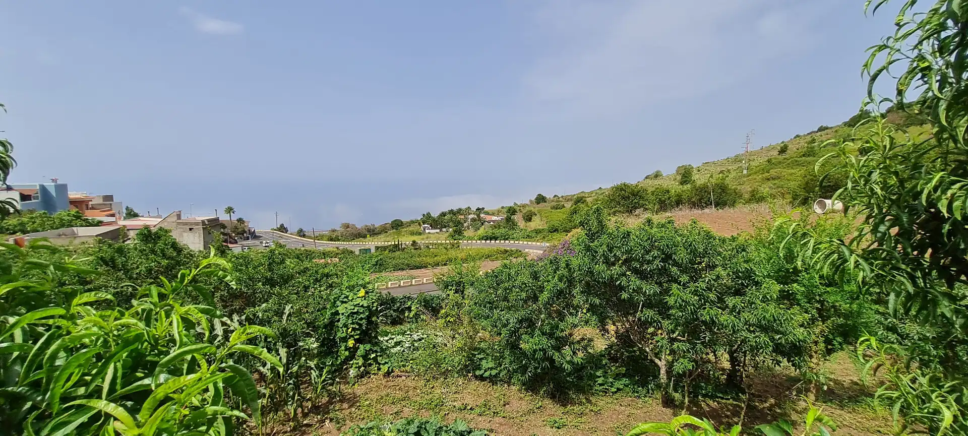 Finca rústica en venda a Icod de los Vinos pueblo
