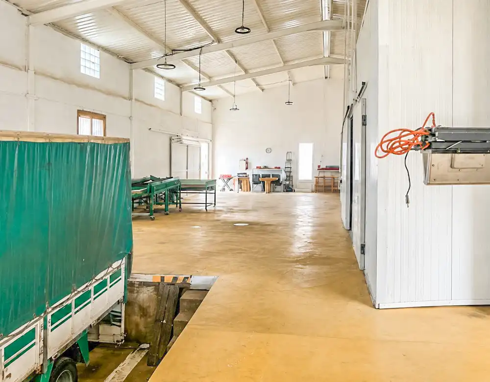 Industrial building for sale in Raiguero de Poniente, imagen 4