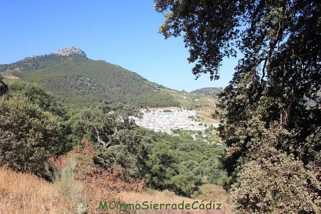 Vista exterior de Finca rústica en venta en Montecorto
