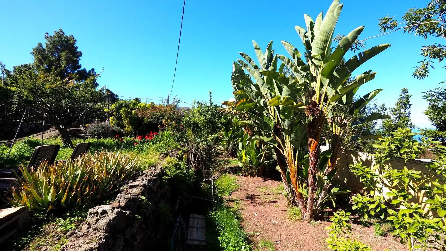 Casa rústica en venda a La Vega - El Amparo - Cueva del Viento, imagen 13
