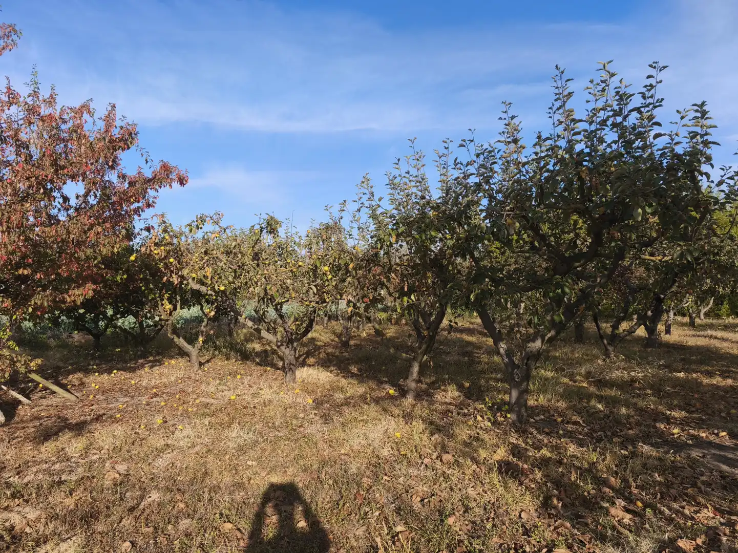 Land for sale in  Logroño