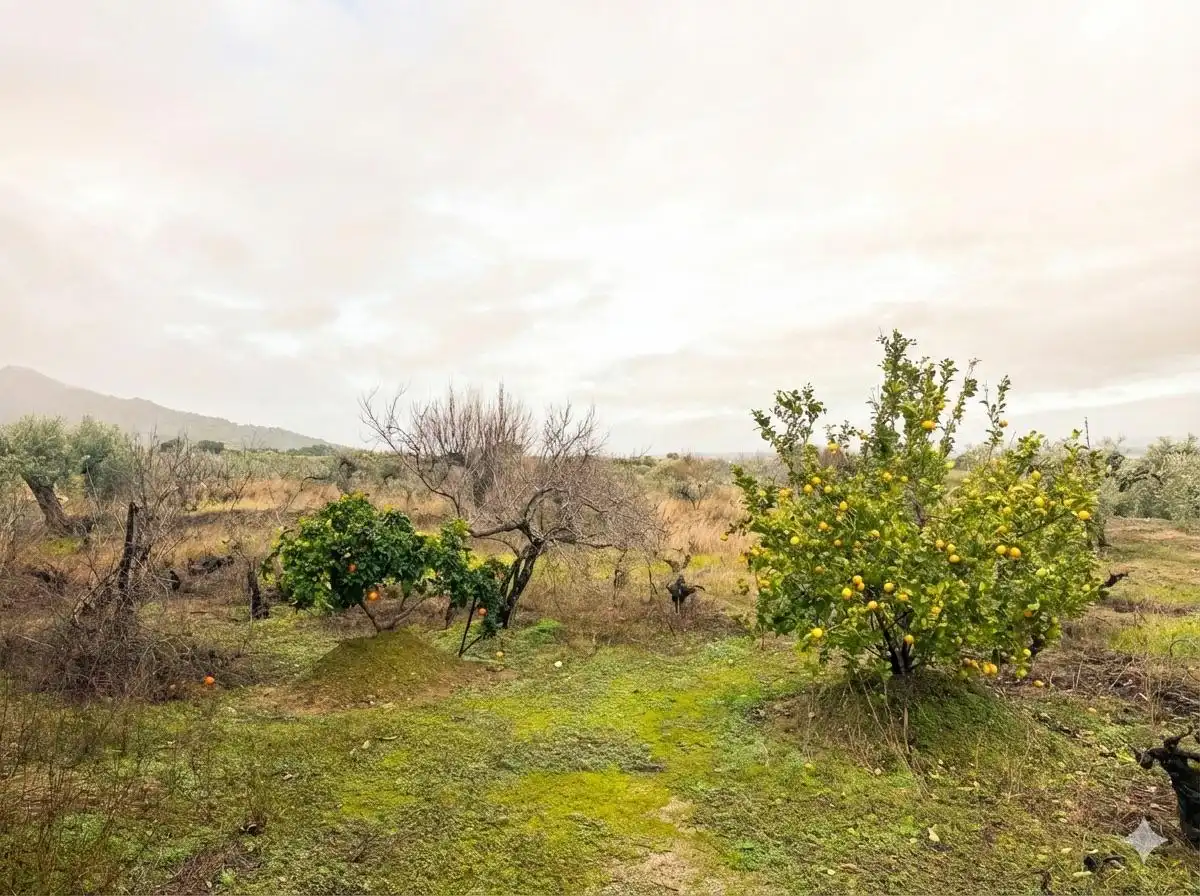 Finca rústica en venta en Montánchez