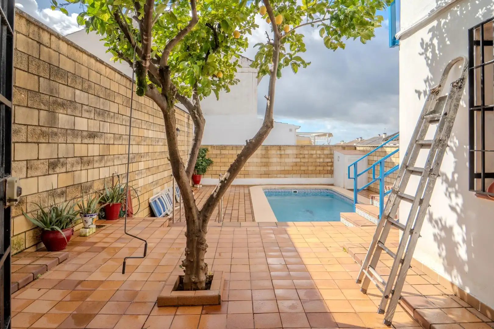 Swimming pool of Detached homes for sale in Córdoba  with Private garden, Terrace and Storage room