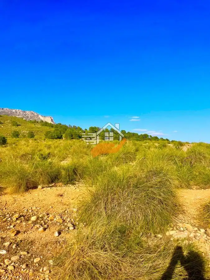 Terrenos y solares en venta en Vélez-Blanco, imagen 3