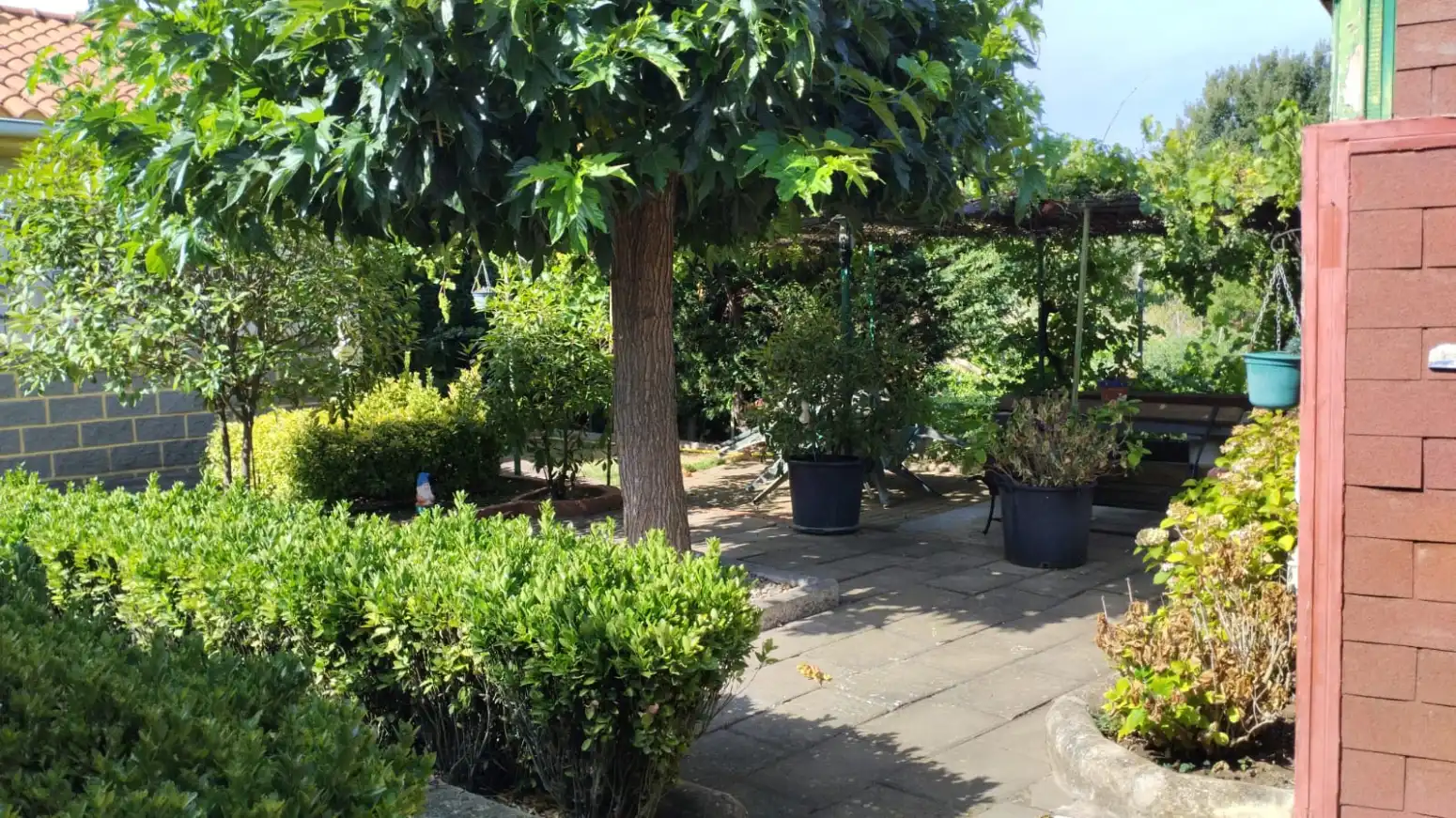 Terrasse von Grundstücke zum Verkauf in Entrena