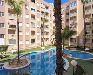 Swimming pool of Study for sale in Torrevieja