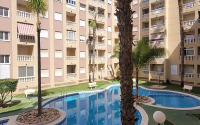 Swimming pool of Study for sale in Torrevieja