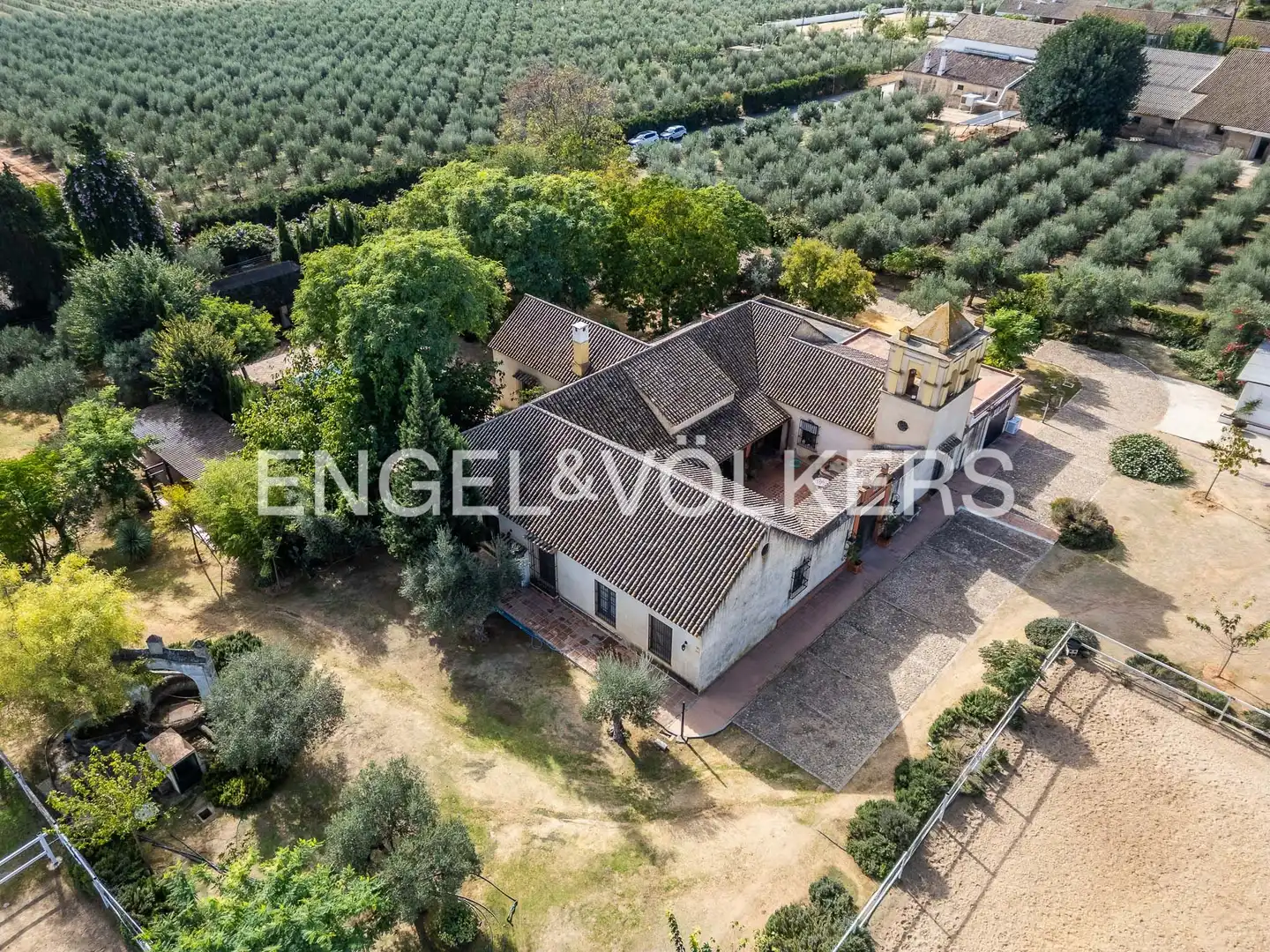 Maison avec jardin à vendre à Bollullos de la Mitación, imagen 7