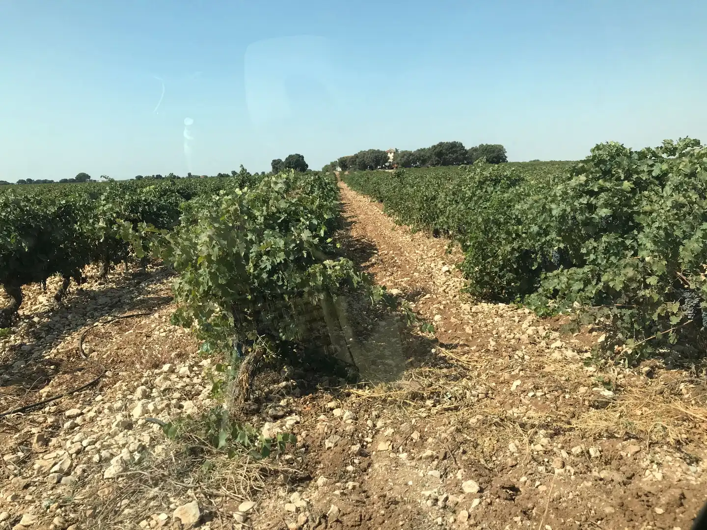 Terreni e lotti in vendita a Las Mesas, imagen 18