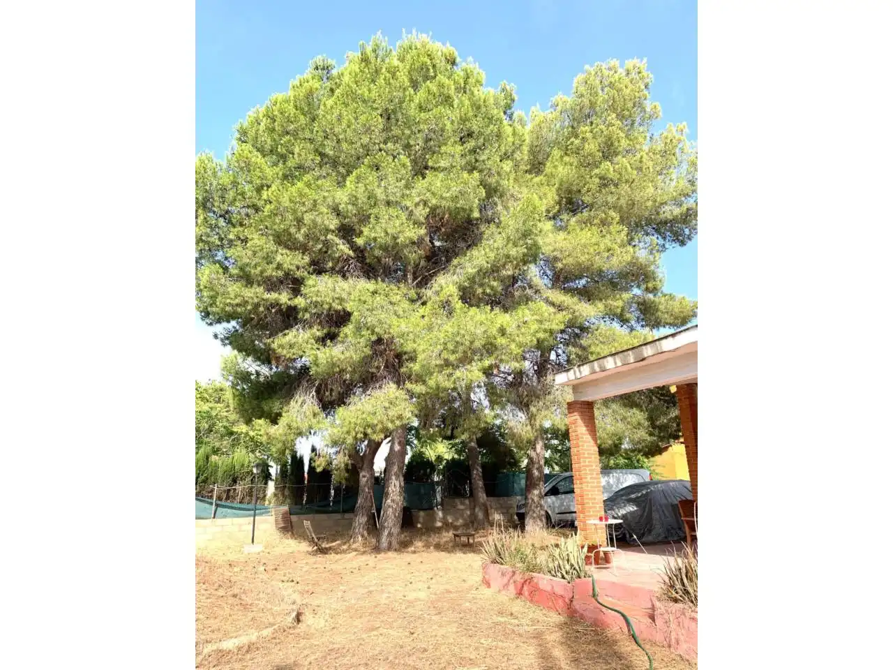 Jardí de Finca rústica en venda en Llíria amb Jardí privat, Terrassa i Piscina