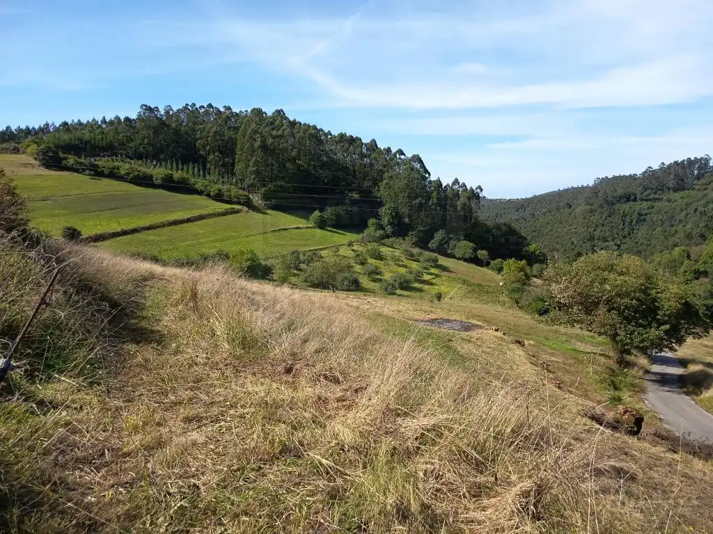 Grundstücke und Bauplätze zum Verkauf in Aldea Argañosa, imagen 21