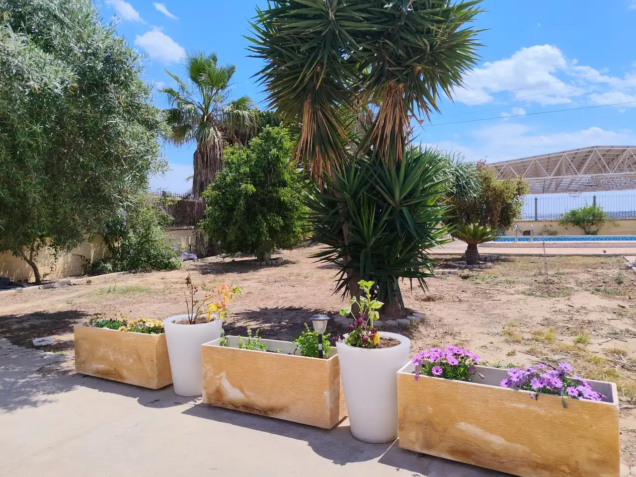 Casa en venta en Los Montesinos, imagen 11