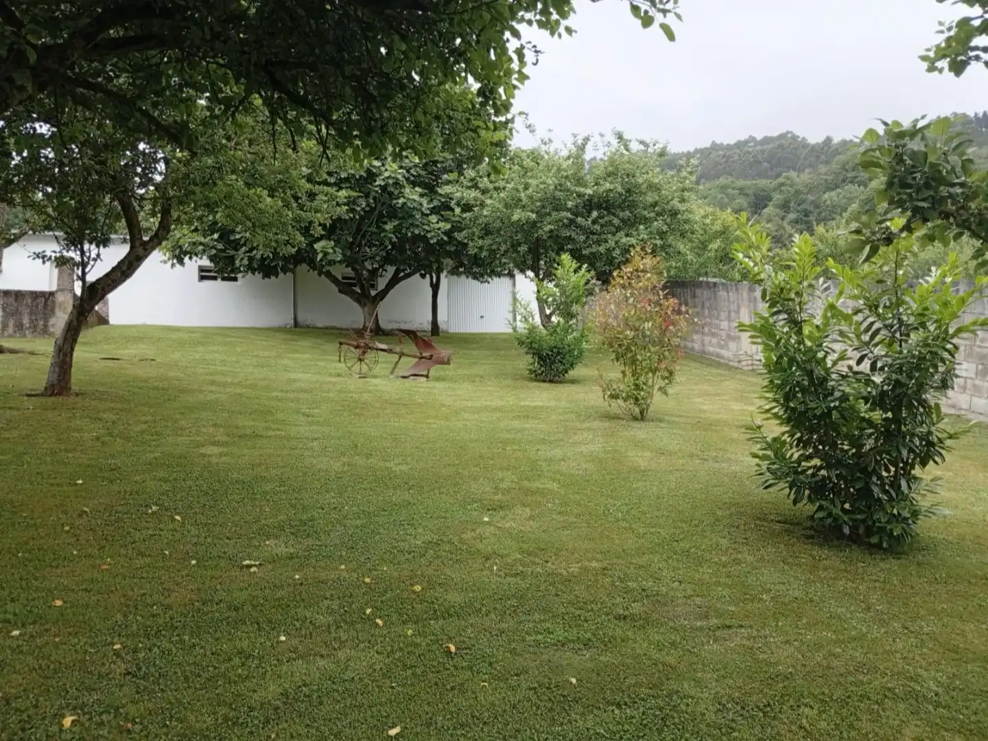 Garden of Commercial properties for sale in Salas