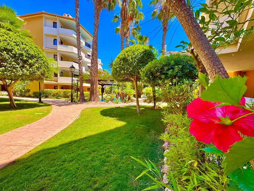 Apartamento con piscina en venta en Punta Prima, imagen 41