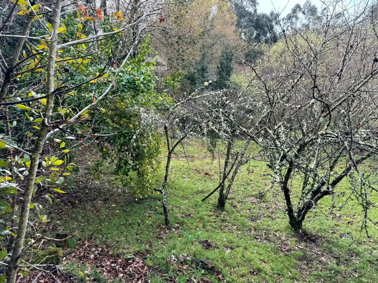 Maison à vendre à A Cañiza, imagen 9