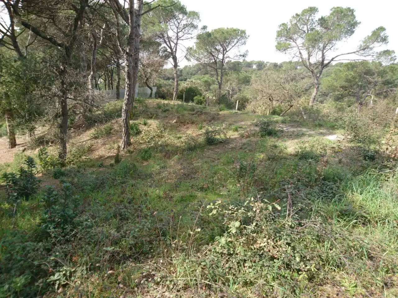 Terreny residencial en venda a Vilanova del Vallès, imagen 16