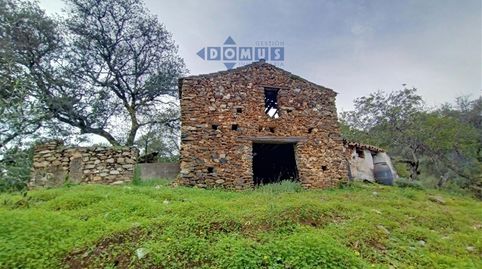 Parcela con construcción antigua en pleno Valle del Genal.