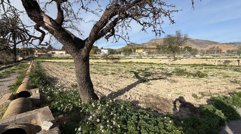 Photo 3 of Country homes for sale in Aigües, Alicante