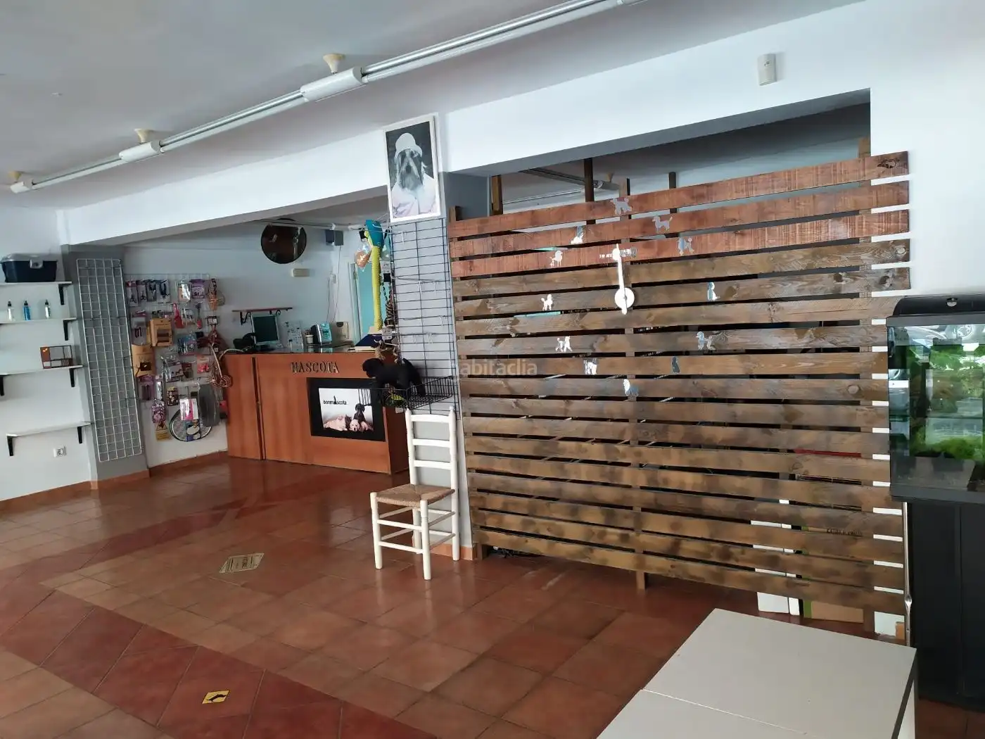 Local comercial en venda a Avenida Vicente Ferri 45, imagen 5