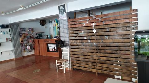 Local comercial, imatge 5
