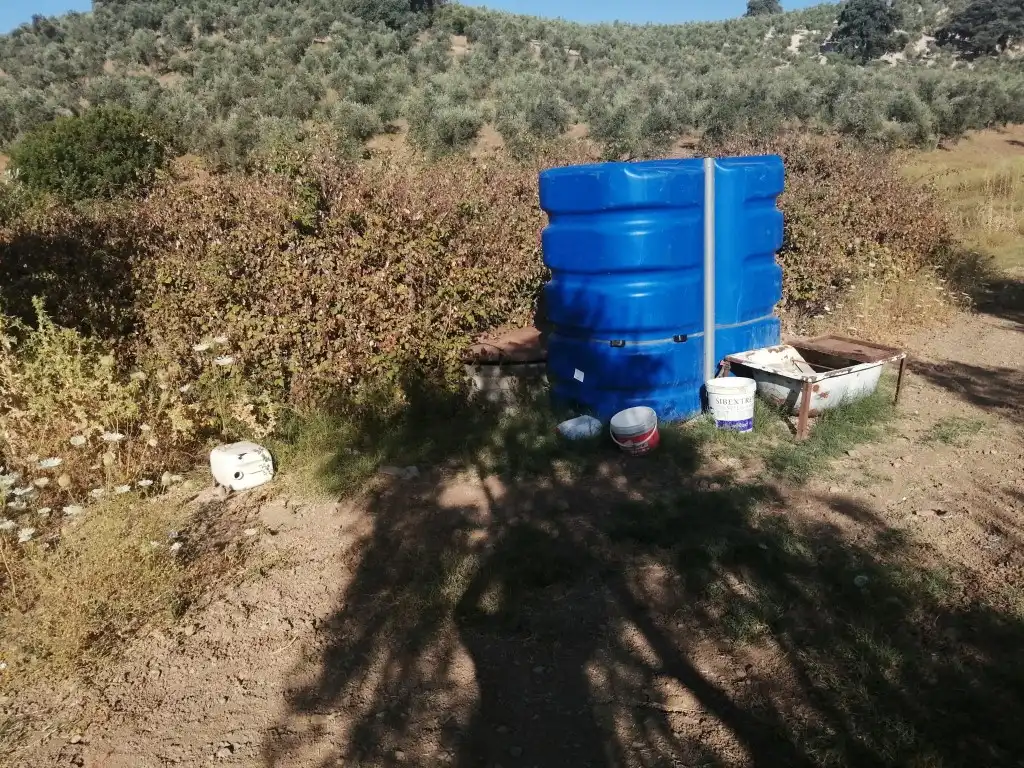 Garden of Residential for sale in Morón de la Frontera