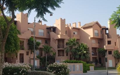 Vista exterior de Apartament en venda en Torre-Pacheco amb Terrassa i Piscina