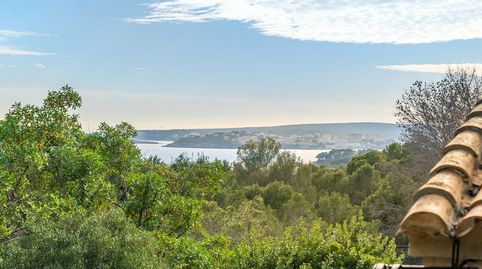 Foto 2 de Finca rústica en venda a Cas Català - Illetes, Calvià