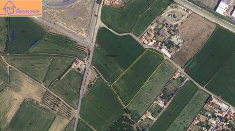 TERRENO PINSEQUE, Bild 4