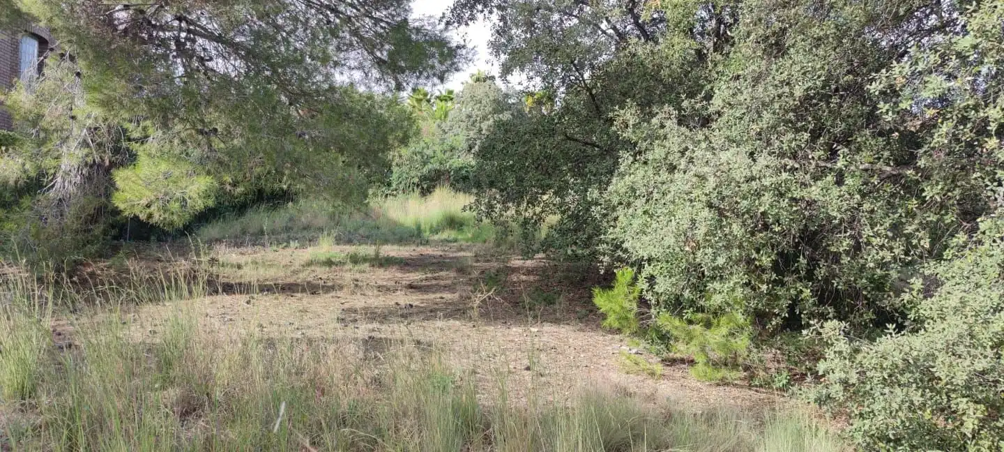 Lands and plots for sale in DE LA CAMELIA 4, imagen 10