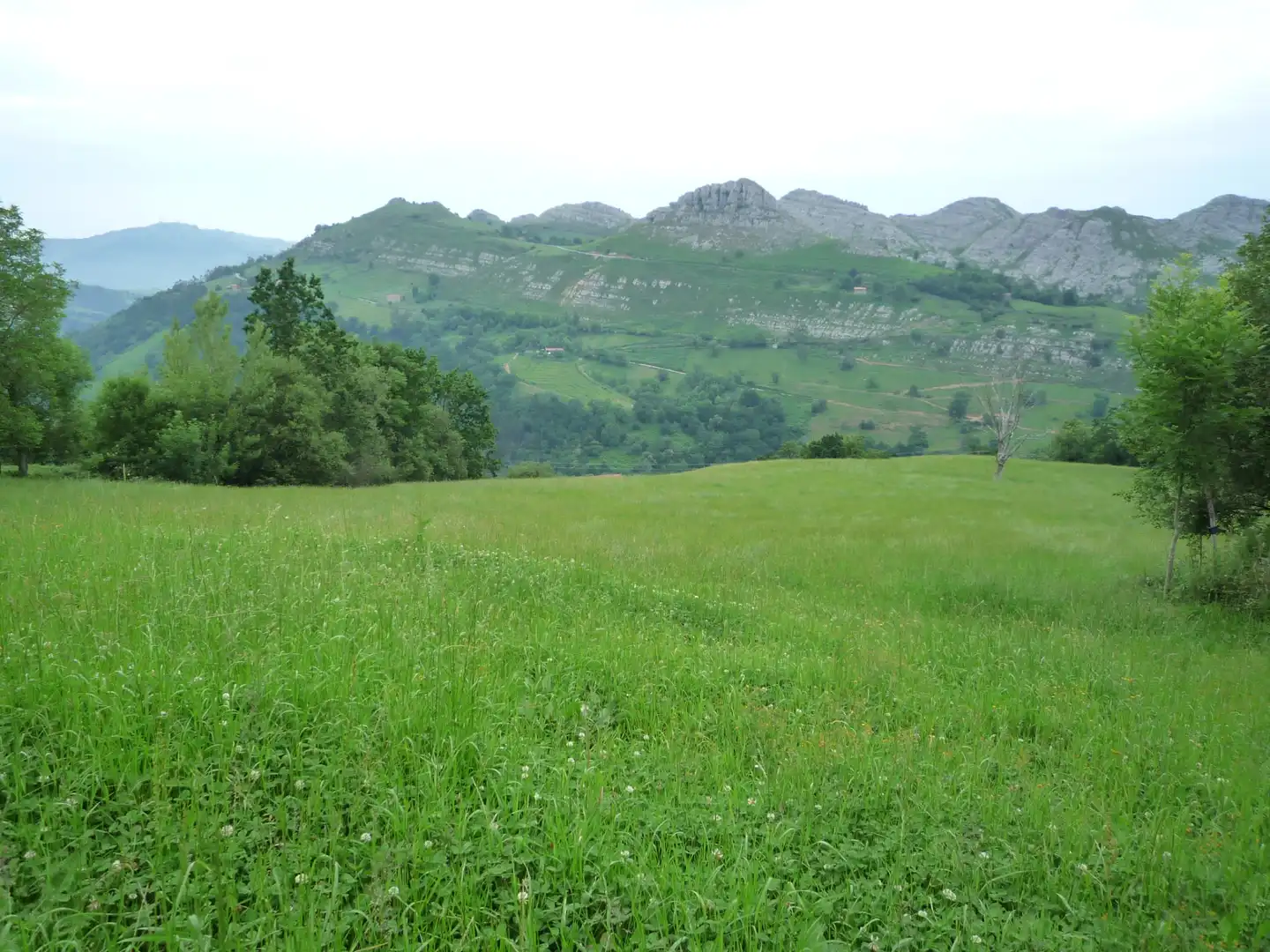 Finca rústica en venta en Liérganes