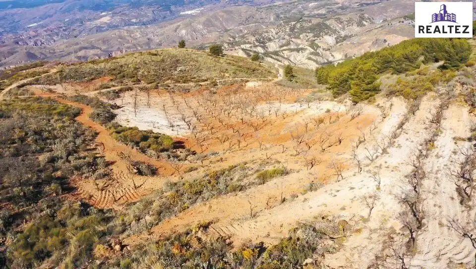 Terrain rustique à vendre à Alcolea, imagen 12
