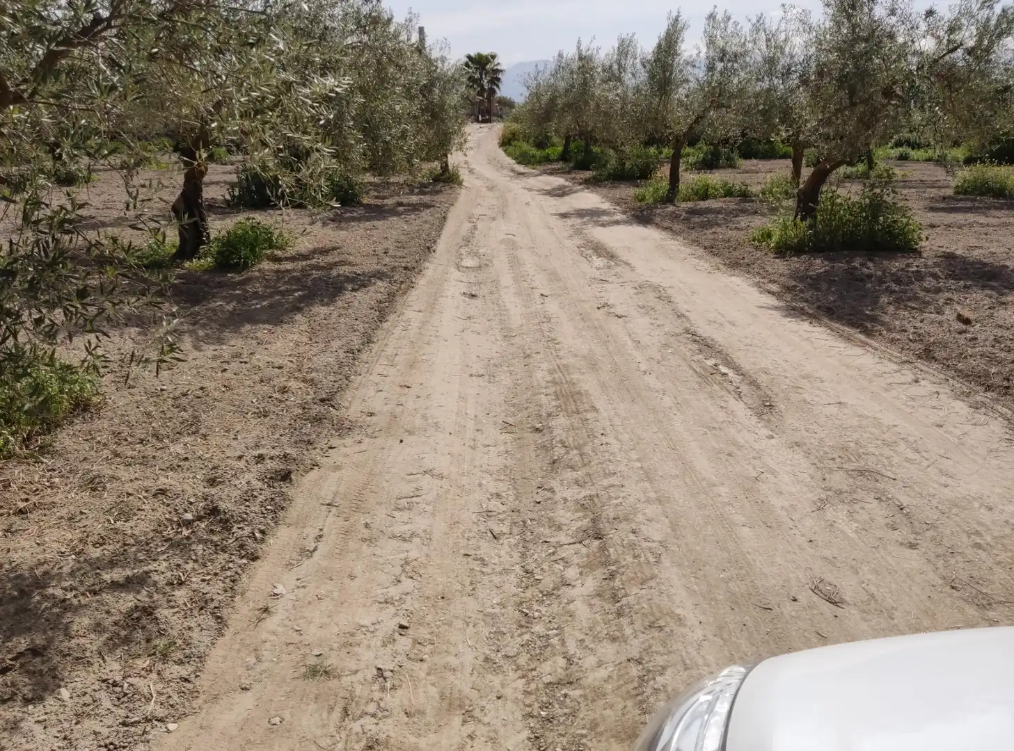 Terreni e lotti in vendita a Camino Ramal Corpas 2, imagen 7