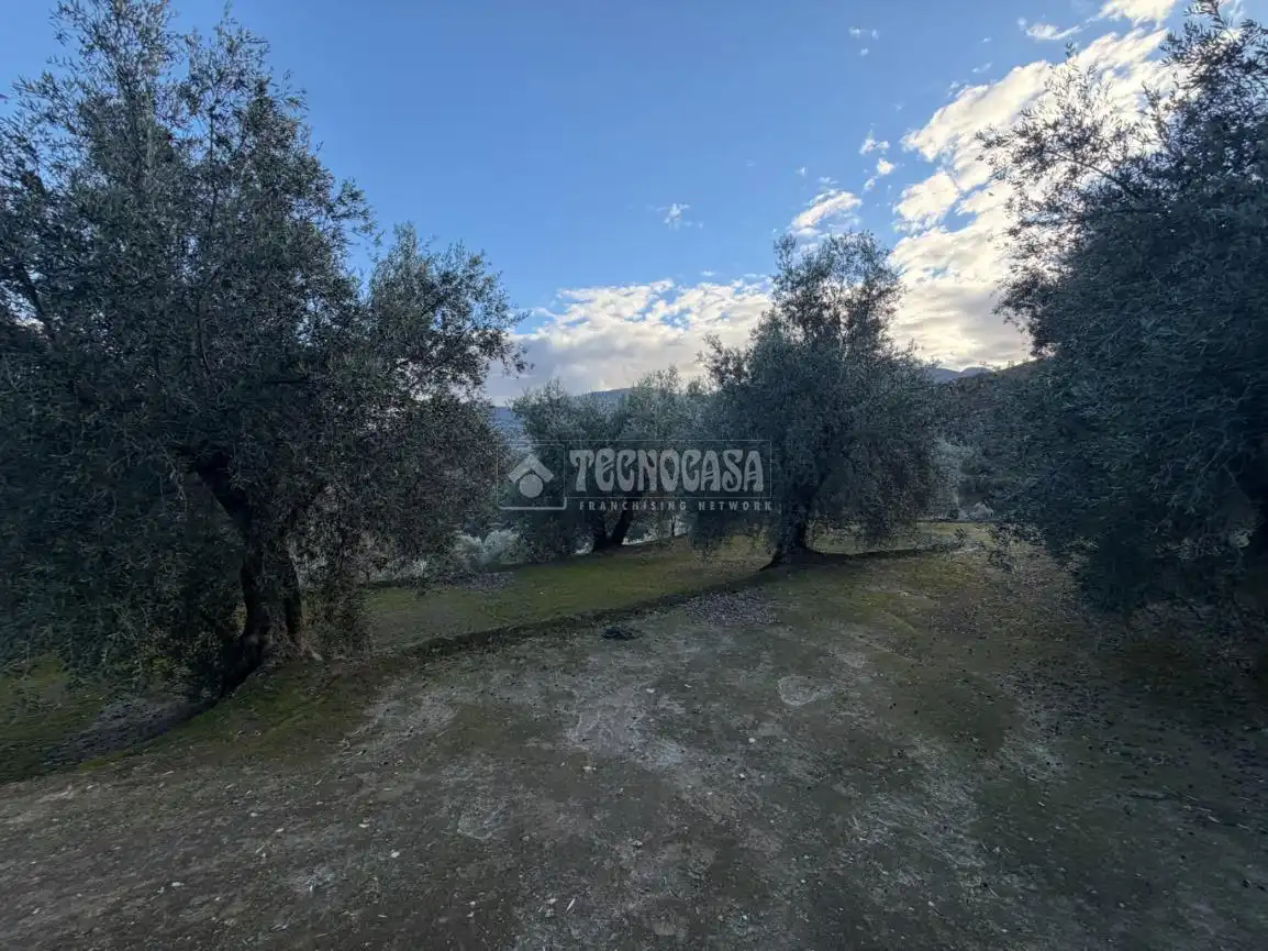 Terreno rustico in vendita a El Valle, imagen 8