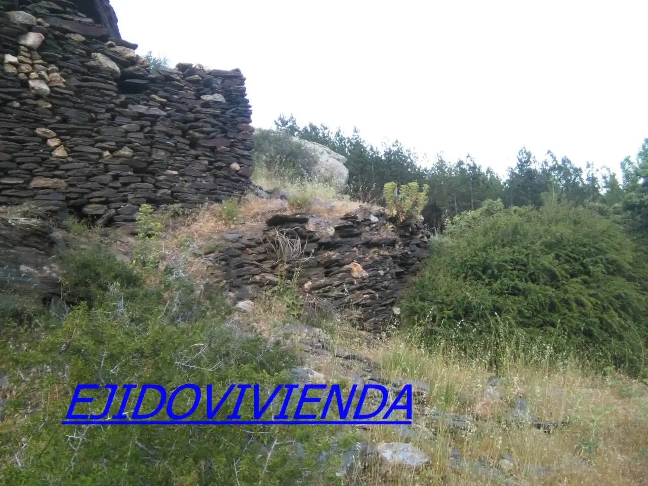 Terreni e lotti in vendita a Nevada, imagen 5