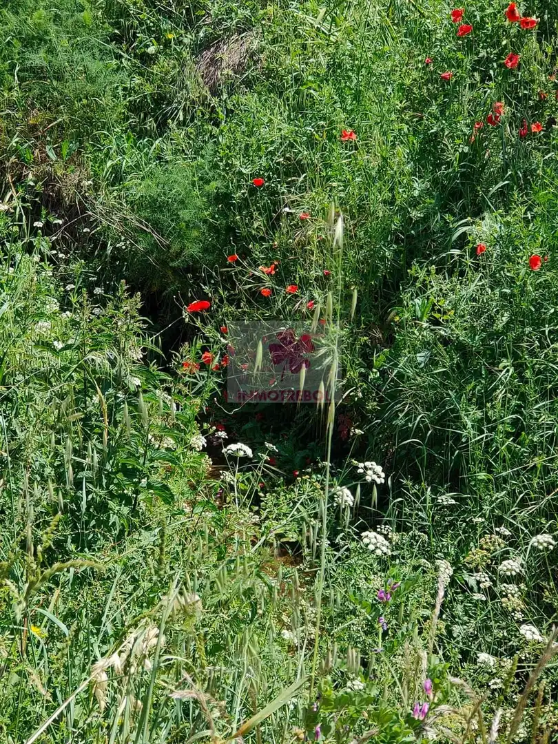 Casa o xalet en venda en Alanís amb Jardí privat, Terrassa i Traster