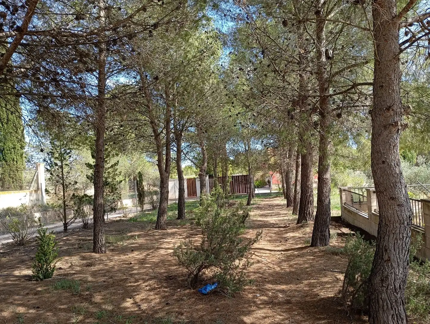 Villa à vendre à Yecla, imagen 29