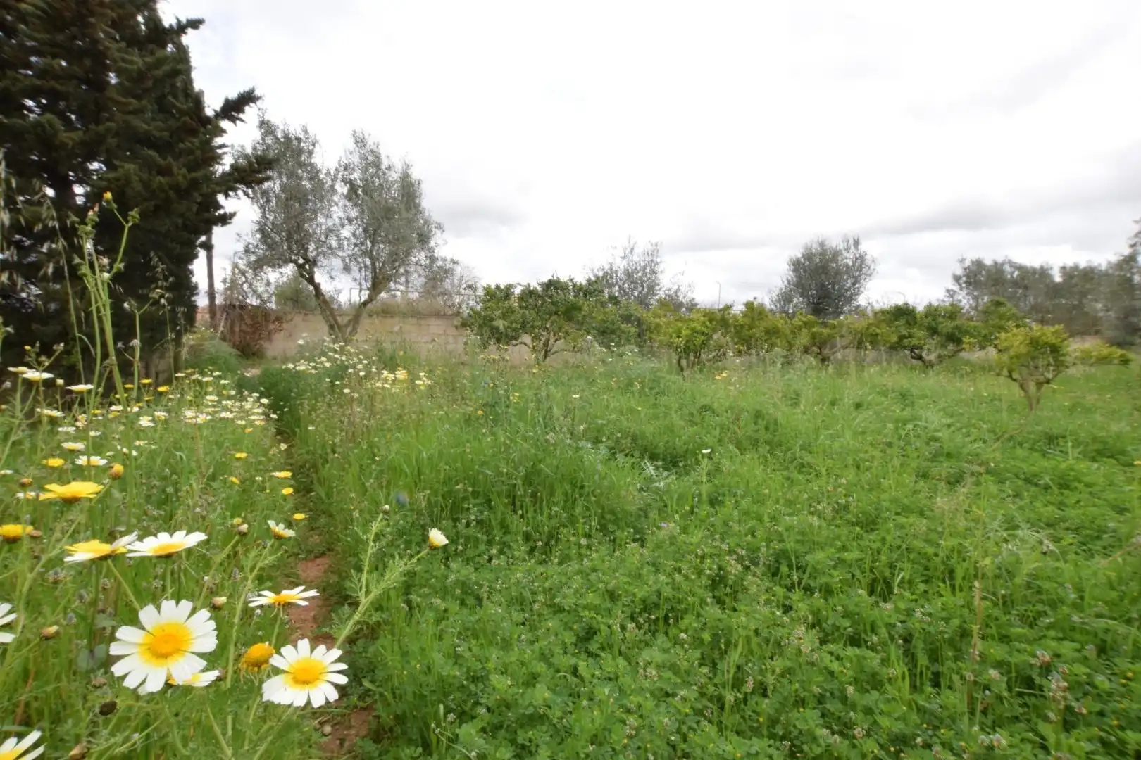 Finca rústica en venta en Santa Eugènia con Jardín privado