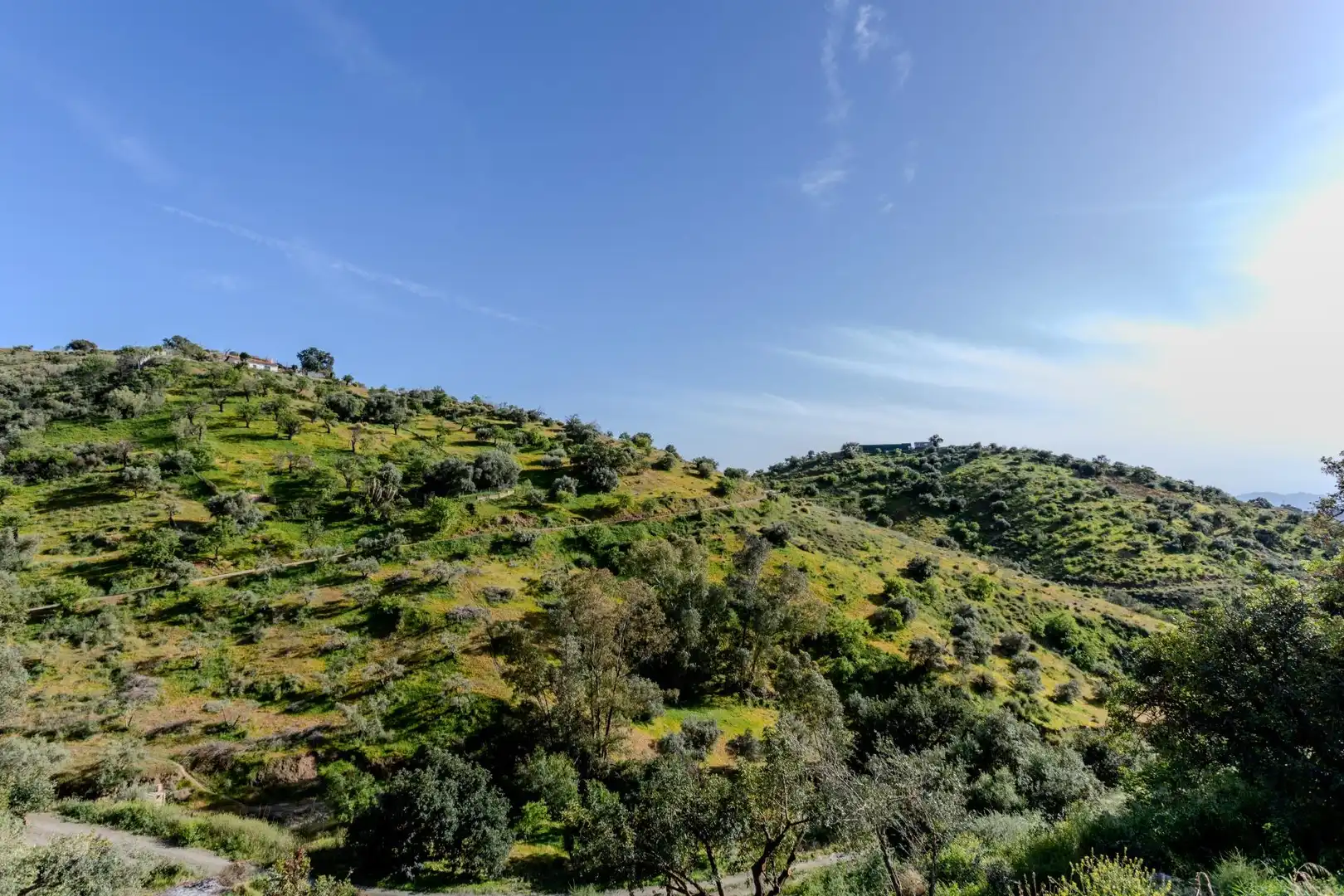 Houses for sale in Almogía