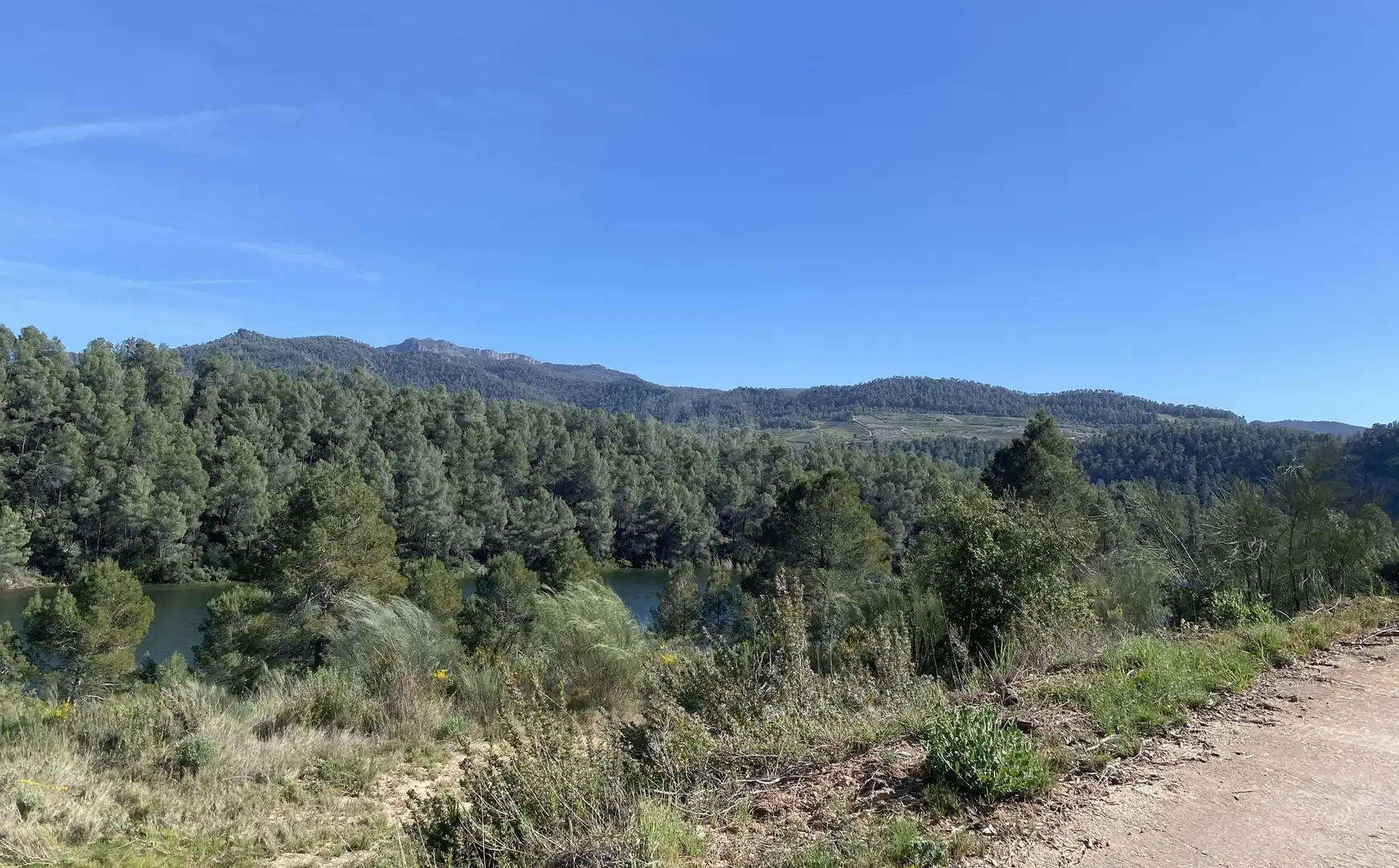 Residencial en venta en Els Guiamets