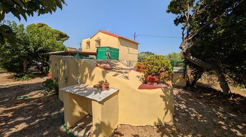 Foto 5 de Finca rústica en venta en Alcanar, Tarragona