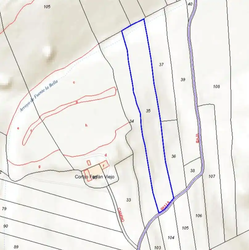 Rural land for sale in Guadahortuna, imagen 4