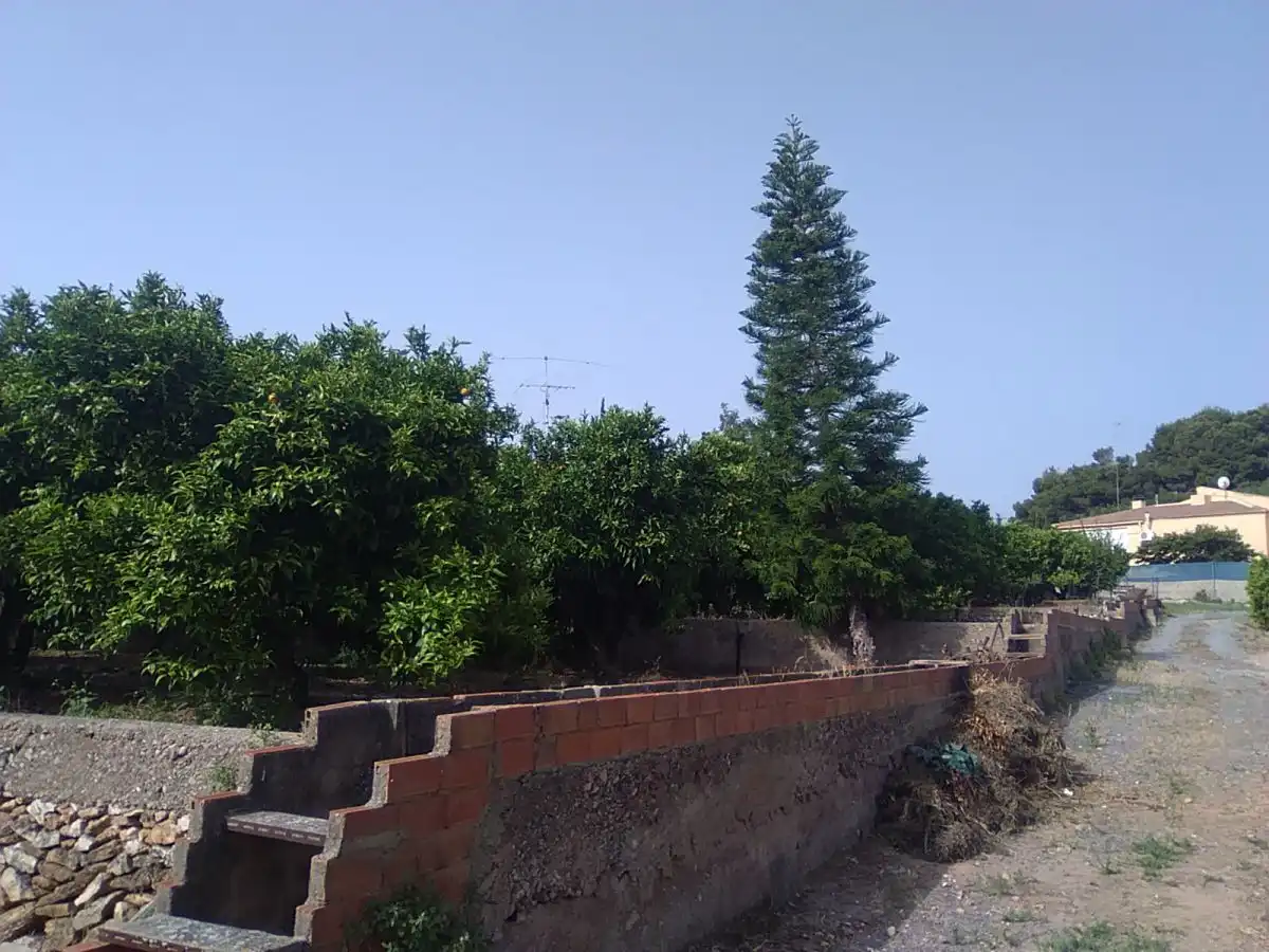 Finca rústica en venta en Sagunto / Sagunt
