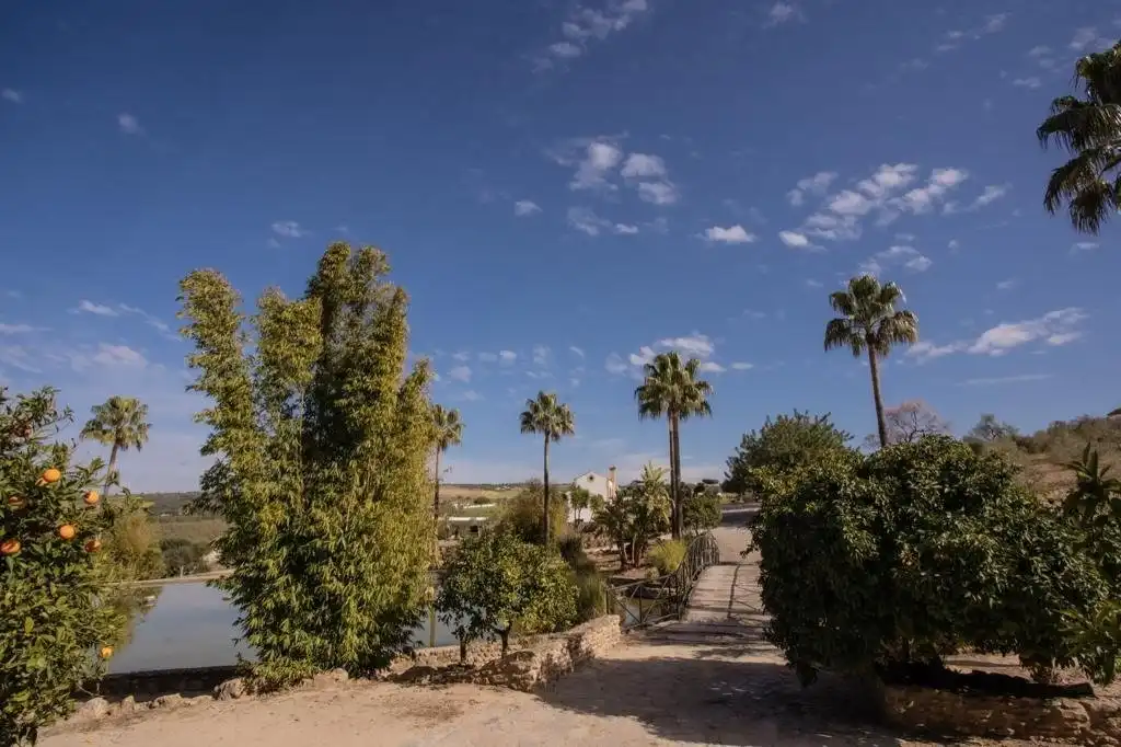Vista exterior de Finca rústica en venda en Arcos de la Frontera amb Calefacció, Terrassa i Traster