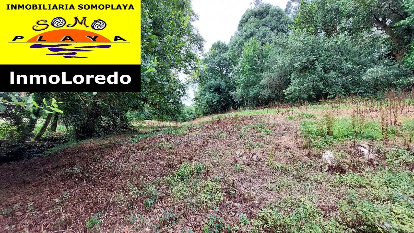Terreni e lotti in vendita a Ribamontán al Monte, imagen 8