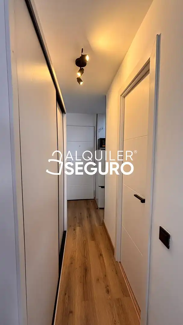 Monolocale con piscina in affitto a Luis Vives, imagen 15