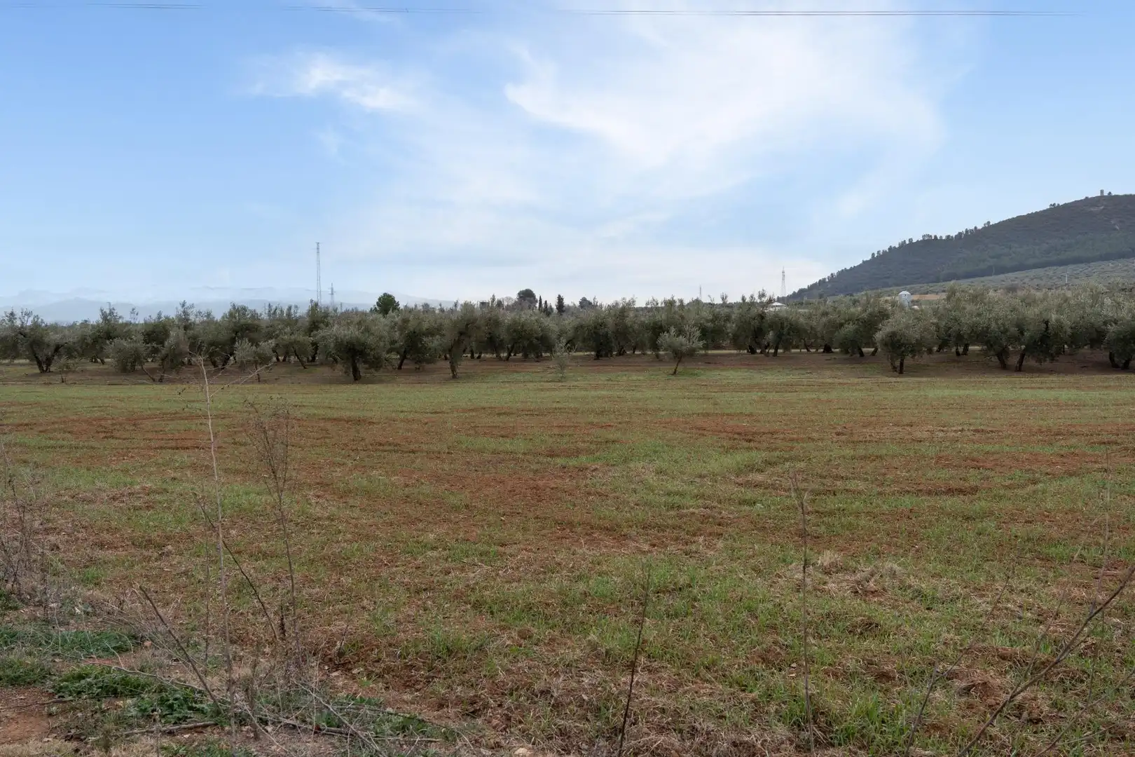 Terrenys i solars en venda a Polígono 23 Parcela 63 LA ZANJA. ALBOLOTE (GRANAD 23, imagen 29