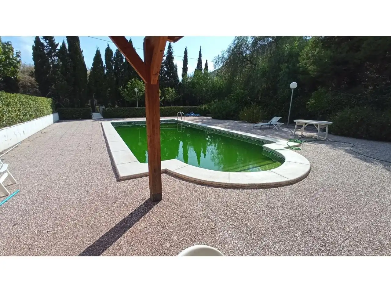 Piscina de Casa o chalet en venta en Petrer con Terraza, Trastero y Piscina