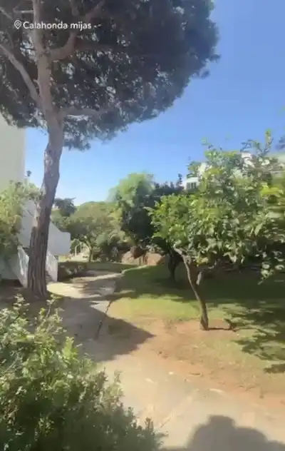 Adosado en venta en Calahonda, imagen 19