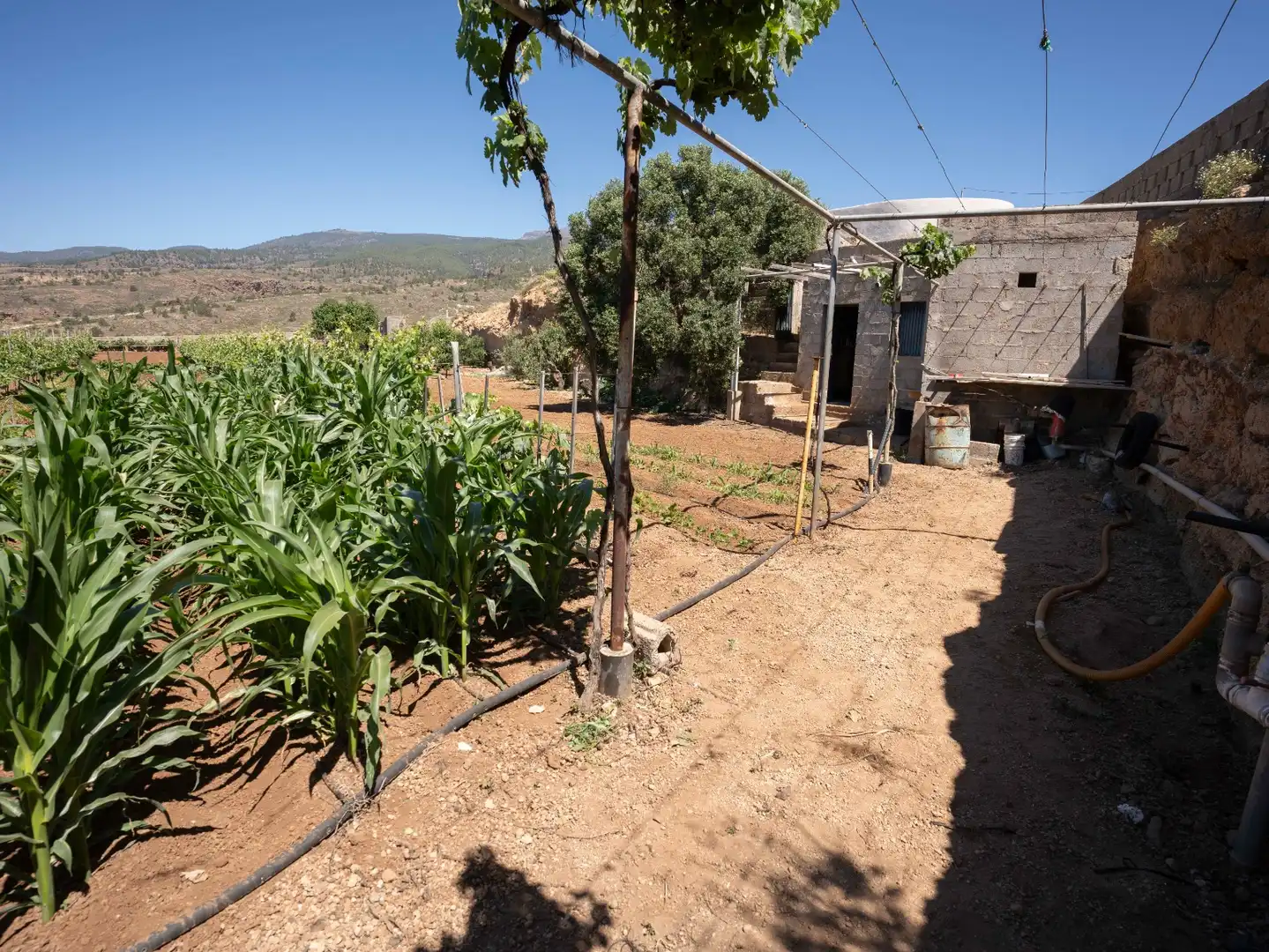 Terreno rustico in vendita a N/A, imagen 32