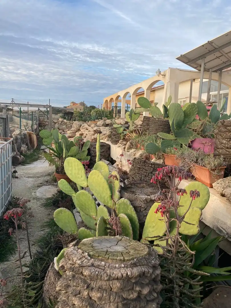 Jardí de Casa o xalet en venda en Alicante / Alacant amb Jardí privat i Terrassa